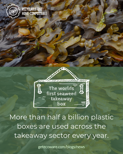 World First Seaweed Takeaway Box