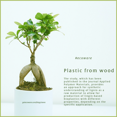 Plastic from Wood