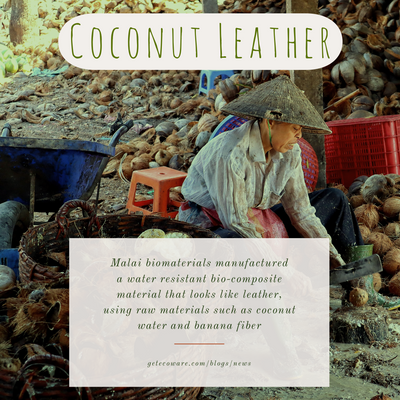 Bio Leather from Coconut Water