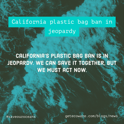 California Plastic Bag Ban in Jeopardy