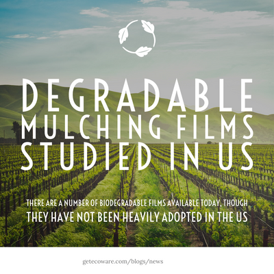 Degradable Mulching Films Studied in US