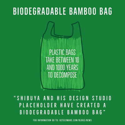 Biodegradable Bamboo Bag