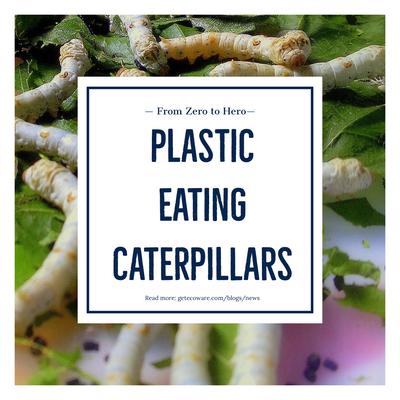 Plastic-Eating Caterpillars