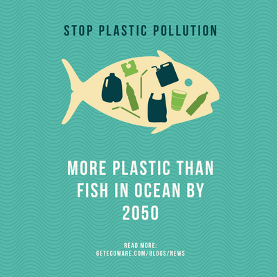 More Plastic than Fish in Ocean by 2050