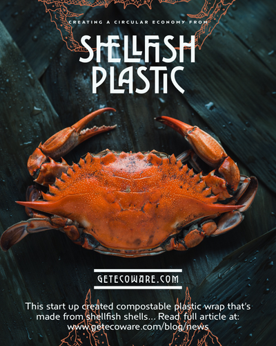 This startup created compostable plastic wrap out of shellfish shells